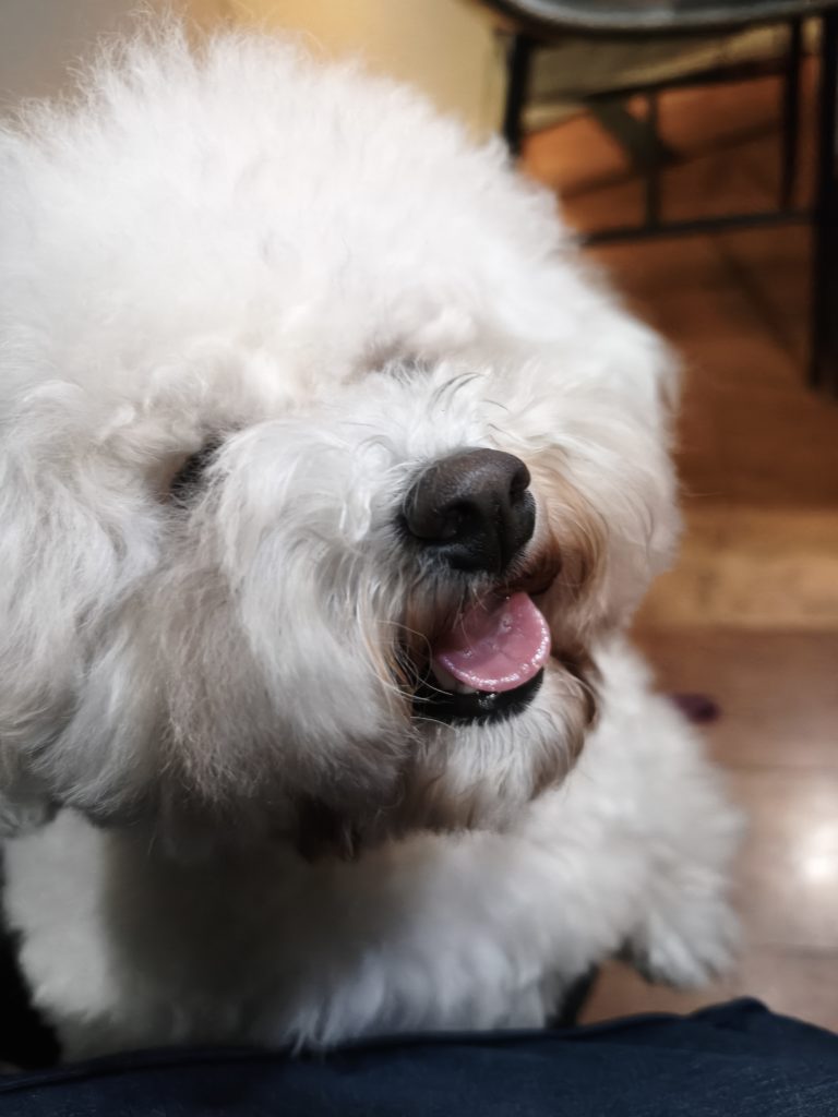 麻布十番のシモン茂の店内で楽しそうにするノアさん