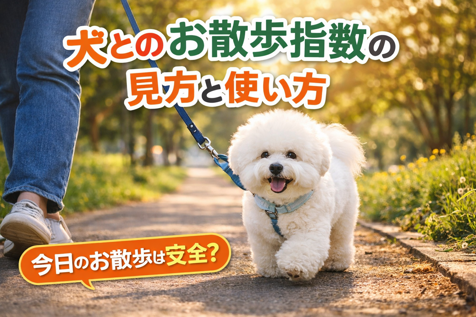 犬とのお散歩指数の見方